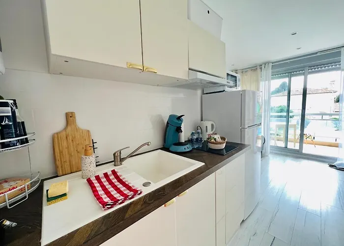 Апартаменты Les Palmiers - Avec Piscine Proche Plages - Wifi Et Clim Антиб