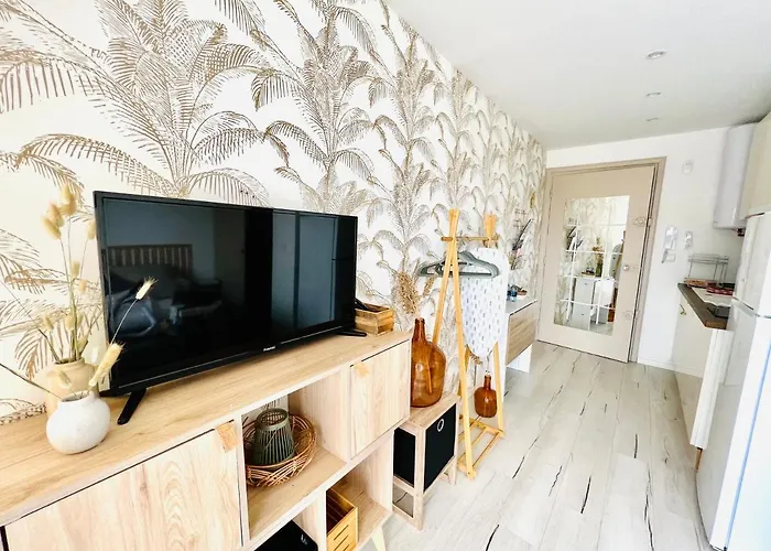 Les Palmiers - Avec Piscine Proche Plages - Wifi Et Clim Lejlighed *